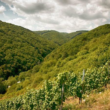 Ferienwohnungen Lithos Oberwesel Exterior foto